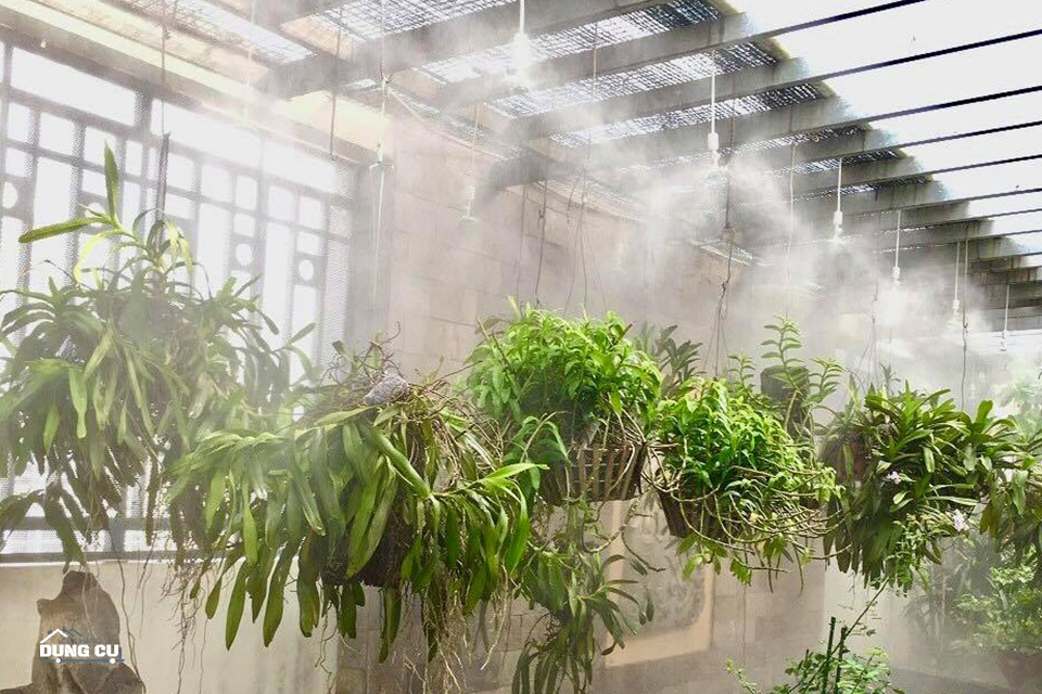 Hoàn thiện hệ thống tưới phun sương cho giàn lan của khách hàng tại Yên Nghĩa Hà Nội