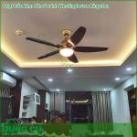 Quạt trần kèm đèn 5 cánh Westinghouse Kingston