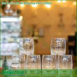 Set 6 cốc pha lê Bohemia Pavo 290ml