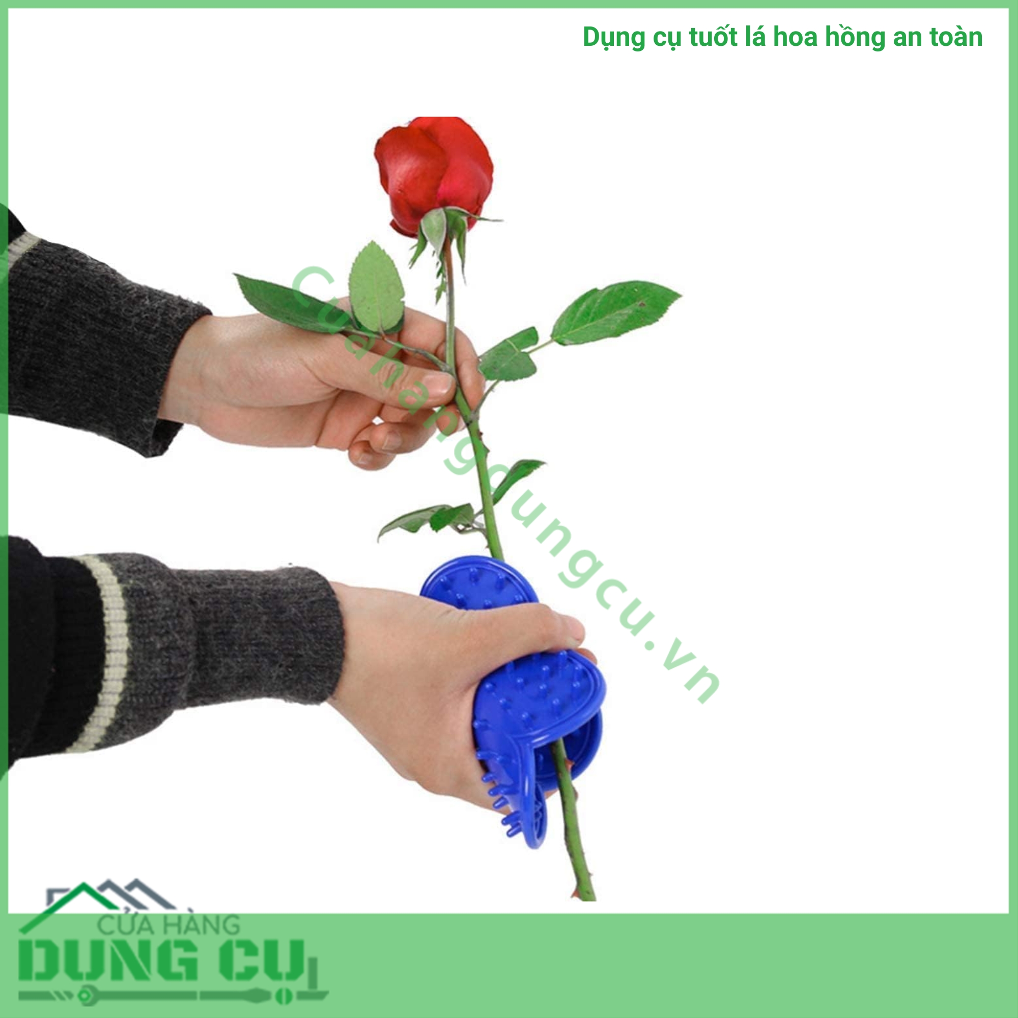 Dụng cụ tuốt lá hoa hồng an toàn