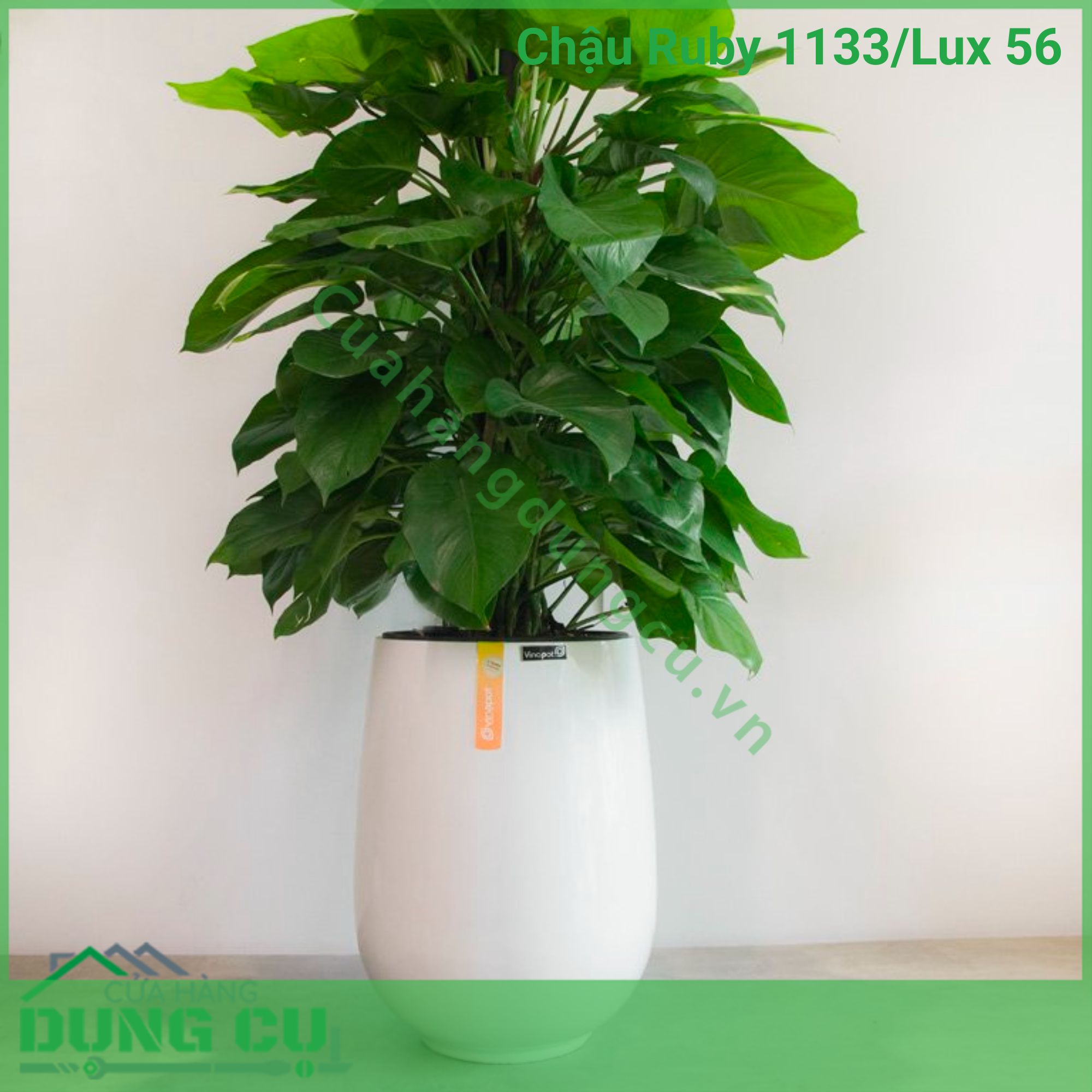 Chậu composite cao cấp Ruby 1133 Lux 56