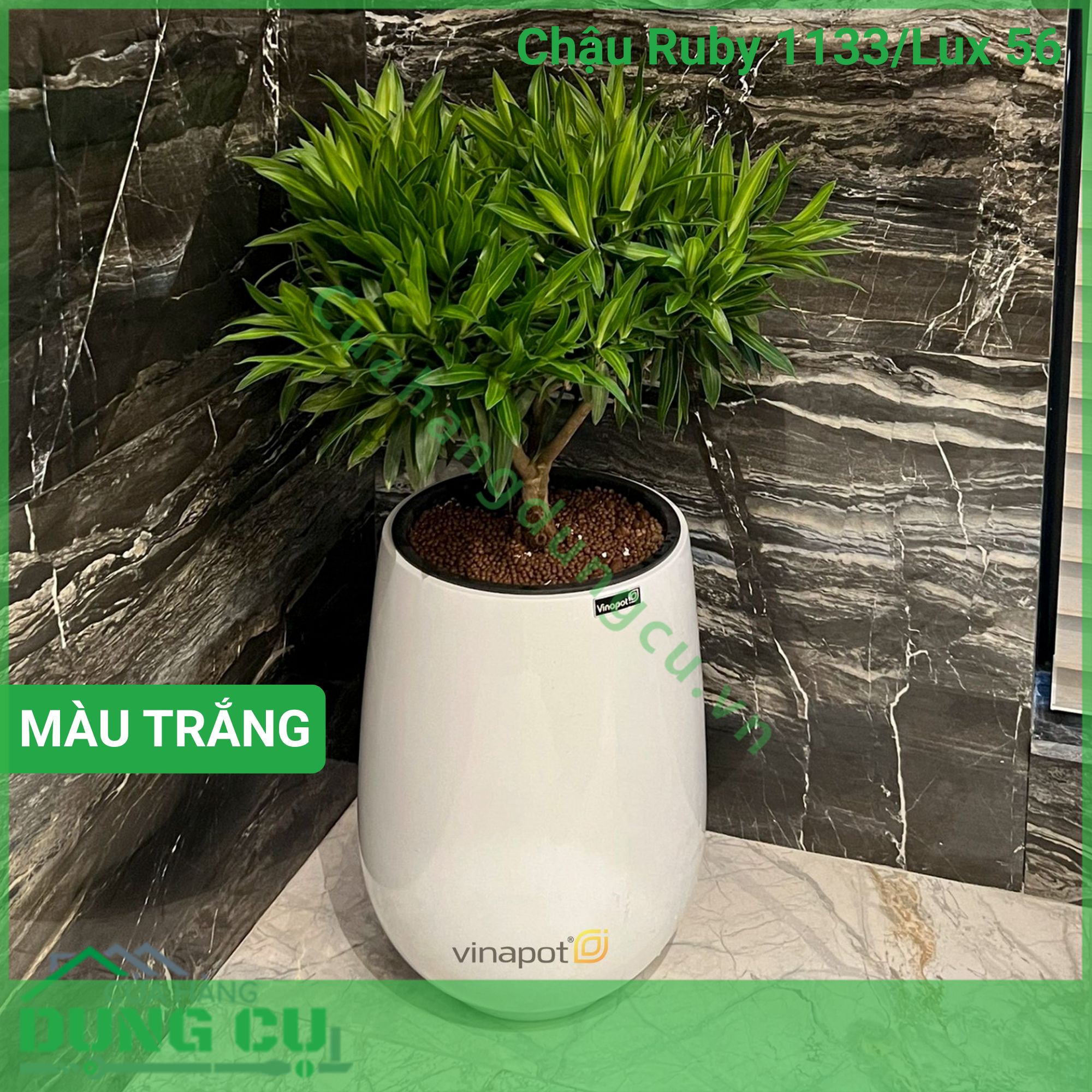 Chậu composite cao cấp Ruby 1133 Lux 56