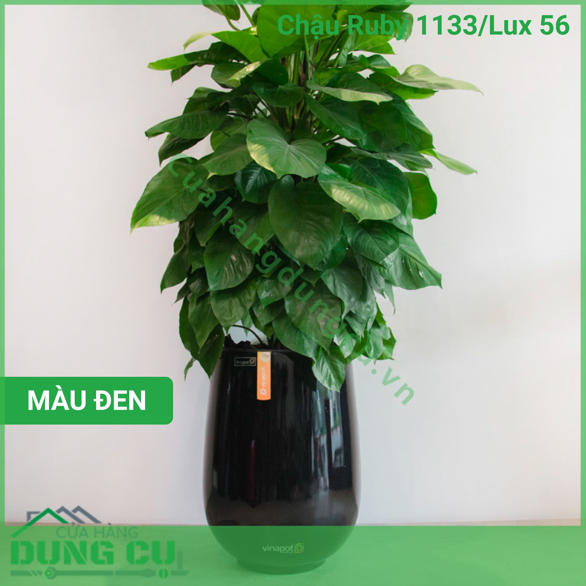 Chậu composite cao cấp Ruby 1133 Lux 56
