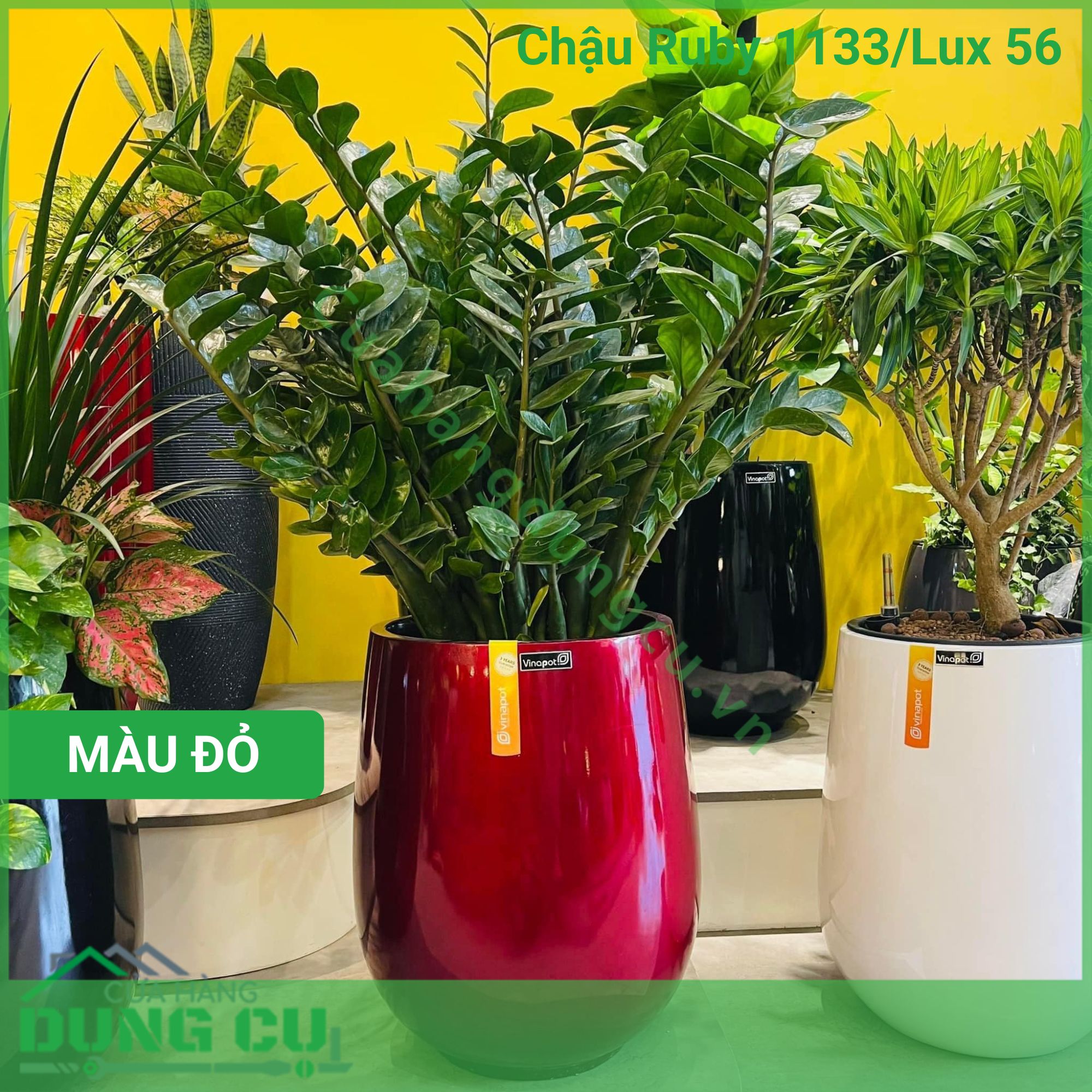 Chậu composite cao cấp Ruby 1133 Lux 56