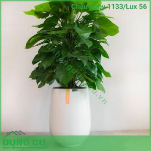 Chậu composite cao cấp Ruby 1133/Lux 56 