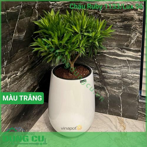 Chậu composite cao cấp Ruby 1133 Lux 56