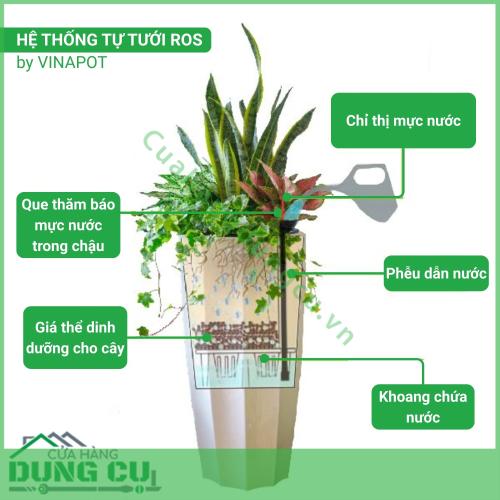 Chậu composite cao cấp Ruby 1133 Lux 56