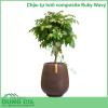 Chậu tự tưới composite Ruby Wavy