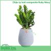 Chậu tự tưới composite Ruby Wavy