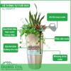 Hệ thống tự tưới ROS