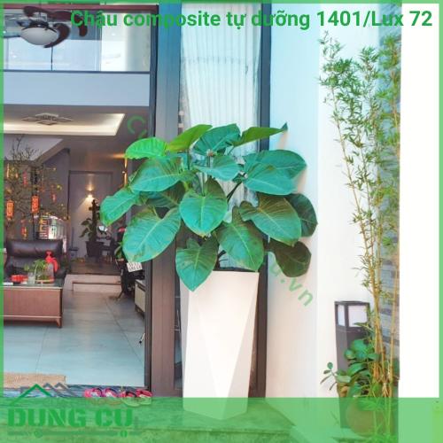 Chậu composite tự dưỡng Diamond 1401 Lux 72