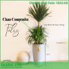 Chậu tự tưới composite Luxnature Feliz 1822 60