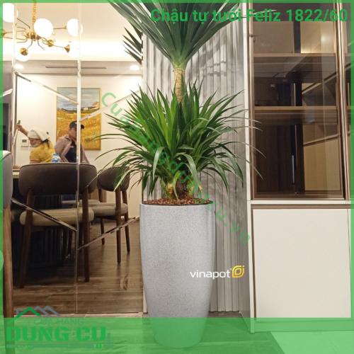 Chậu tự tưới composite Luxnature Feliz 1822 60