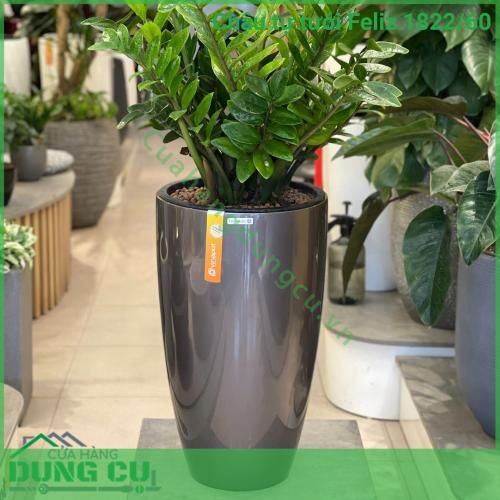Chậu tự tưới composite Luxnature Feliz 1822 60