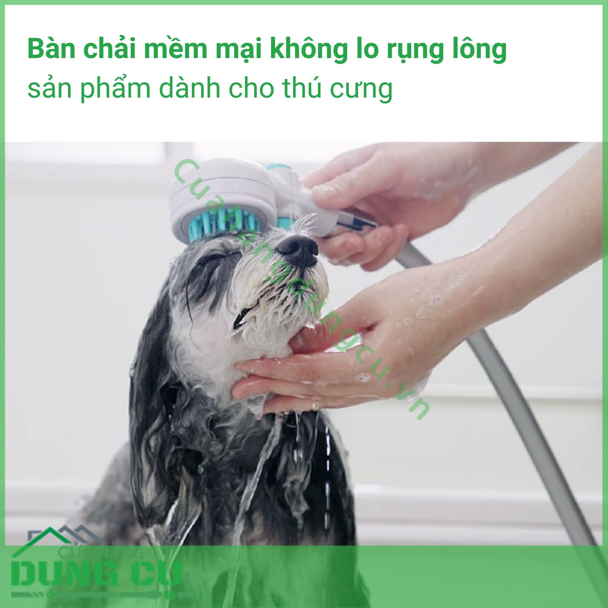 Vòi hoa sen Pets có nút dừng Takagi (JSB027GY)
