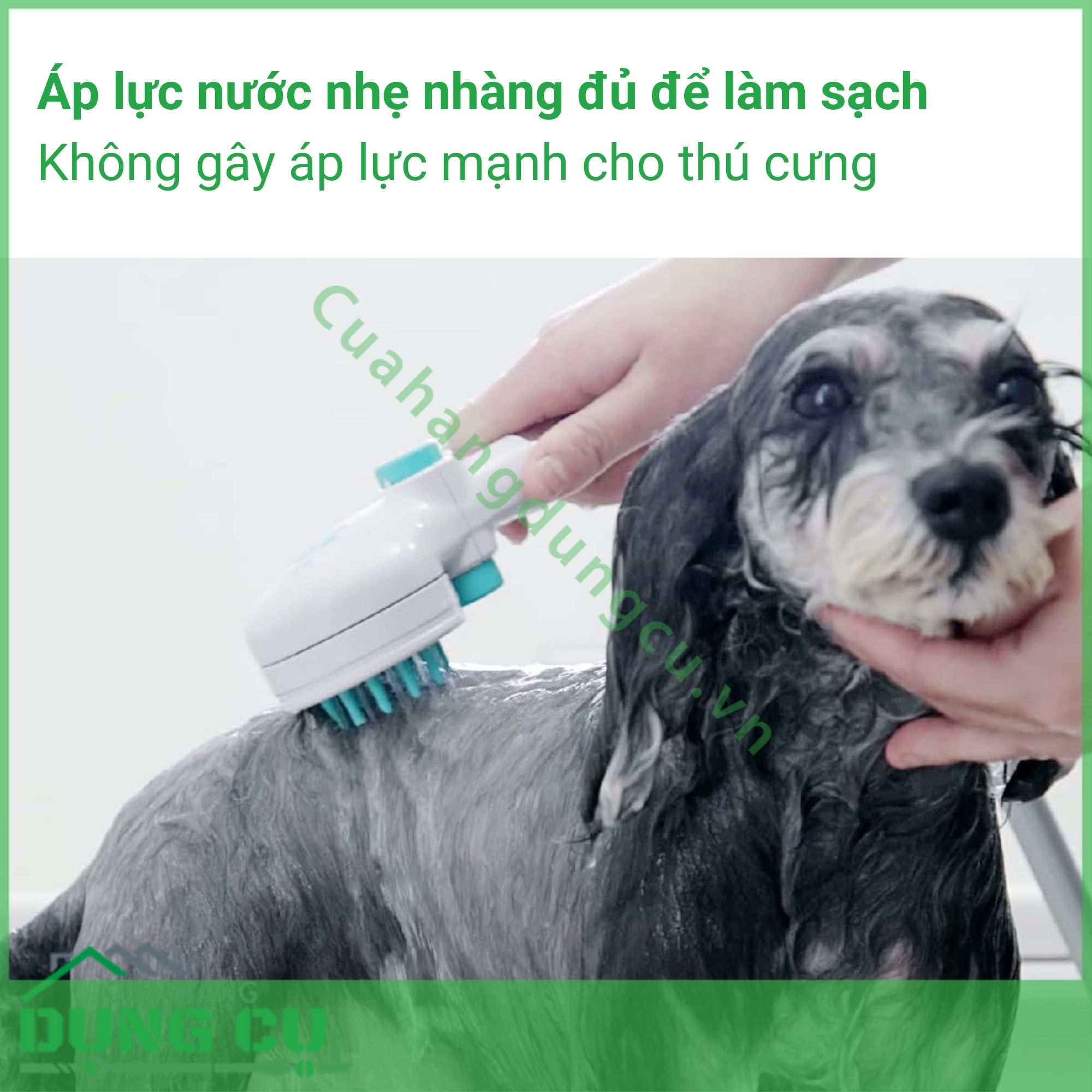 Vòi hoa sen Pets có nút dừng Takagi (JSB027GY)