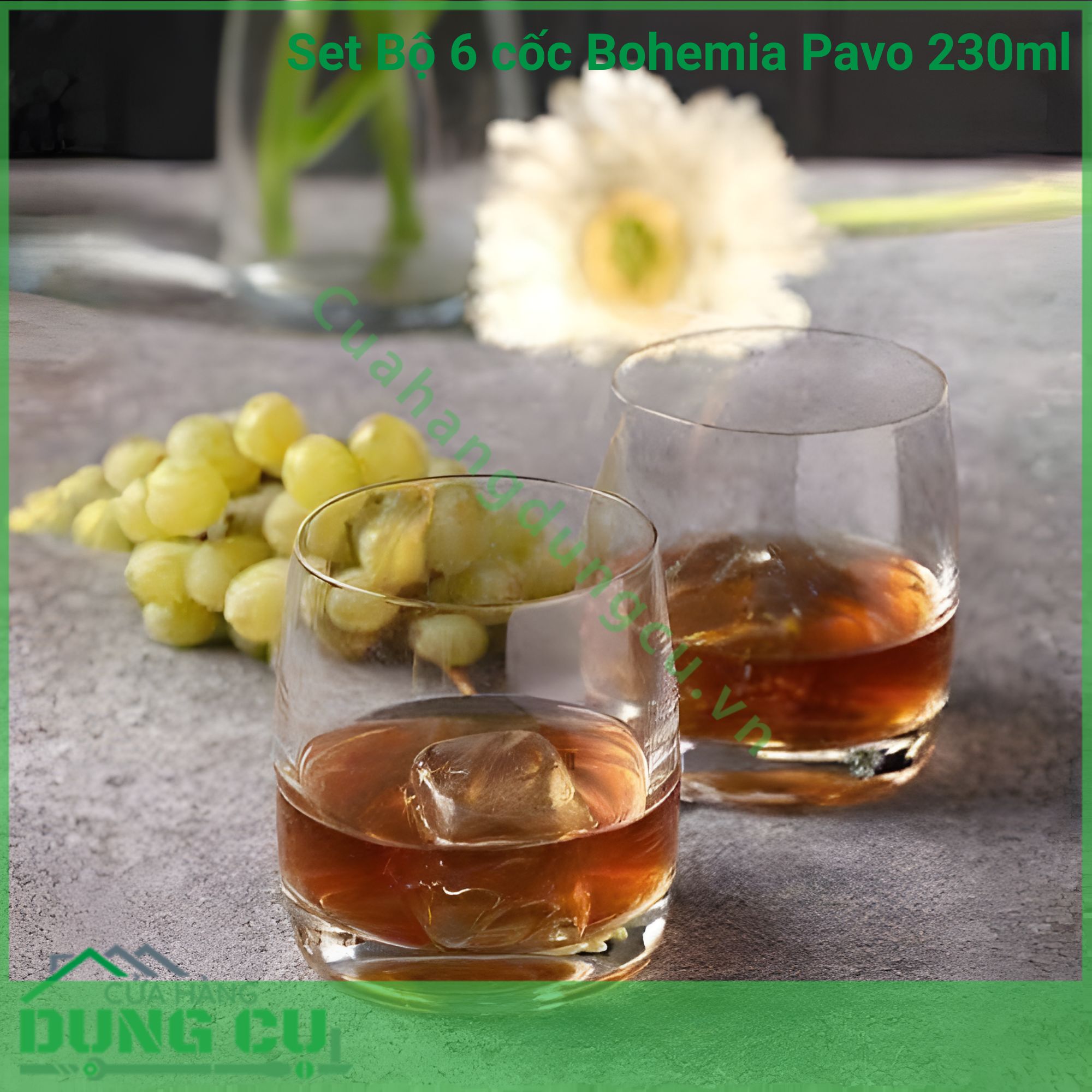 Set 6 Cốc Bohemia Pavo 230ml Thiết Kế Hiện Đại Chất Lượng Pha Lê Không Chì Bền Bỉ