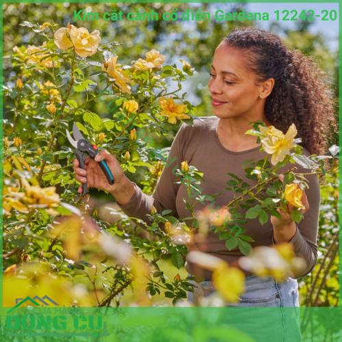 Kìm Cắt Cành Cổ Điển Gardena 12242-20 - Giải Pháp Cắt Tỉa Chuyên Nghiệp