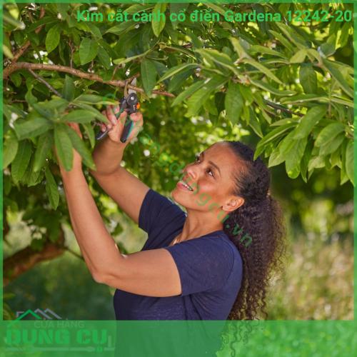 Kìm Cắt Cành Cổ Điển Gardena 12242-20 - Giải Pháp Cắt Tỉa Chuyên Nghiệp
