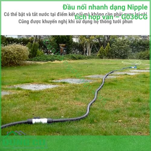 Đầu Nối Ống Nước Tích Hợp Van G036CG - Tiêu Chuẩn Kỹ Thuật Vận Hành Tối Ưu