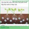 Đầu Nối Tạo Bọt Khí Takagi G1069 - Giải Pháp Tưới Tiêu Và Làm Sạch Đột Phá Từ Nhật Bản